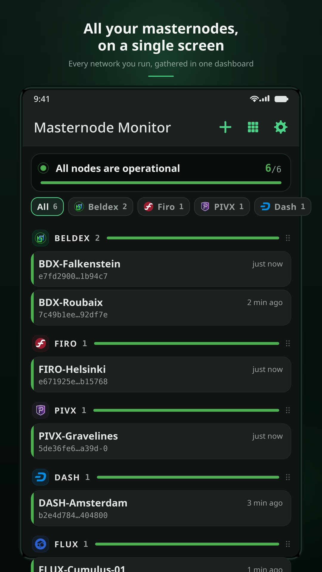 Dashboard listing monitored masternodes grouped by network